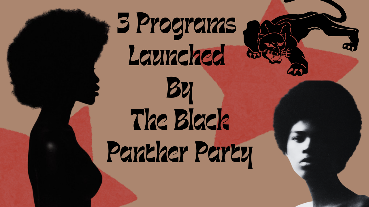 3 Programs Launched By The Black Panther Party